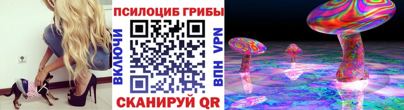 KRAKEN зеркало Алзамай Галлюциногенные грибы Cubensis купить наркотики сайты